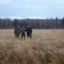 ​Громобой Гвоздев