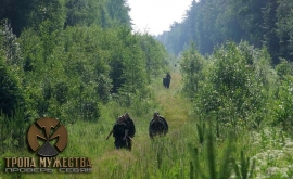 ТРОПА МУЖЕСТВА 2013